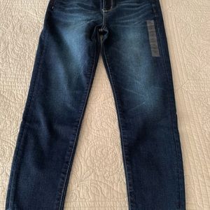 American Eagle Hi-Rise Jeggings
